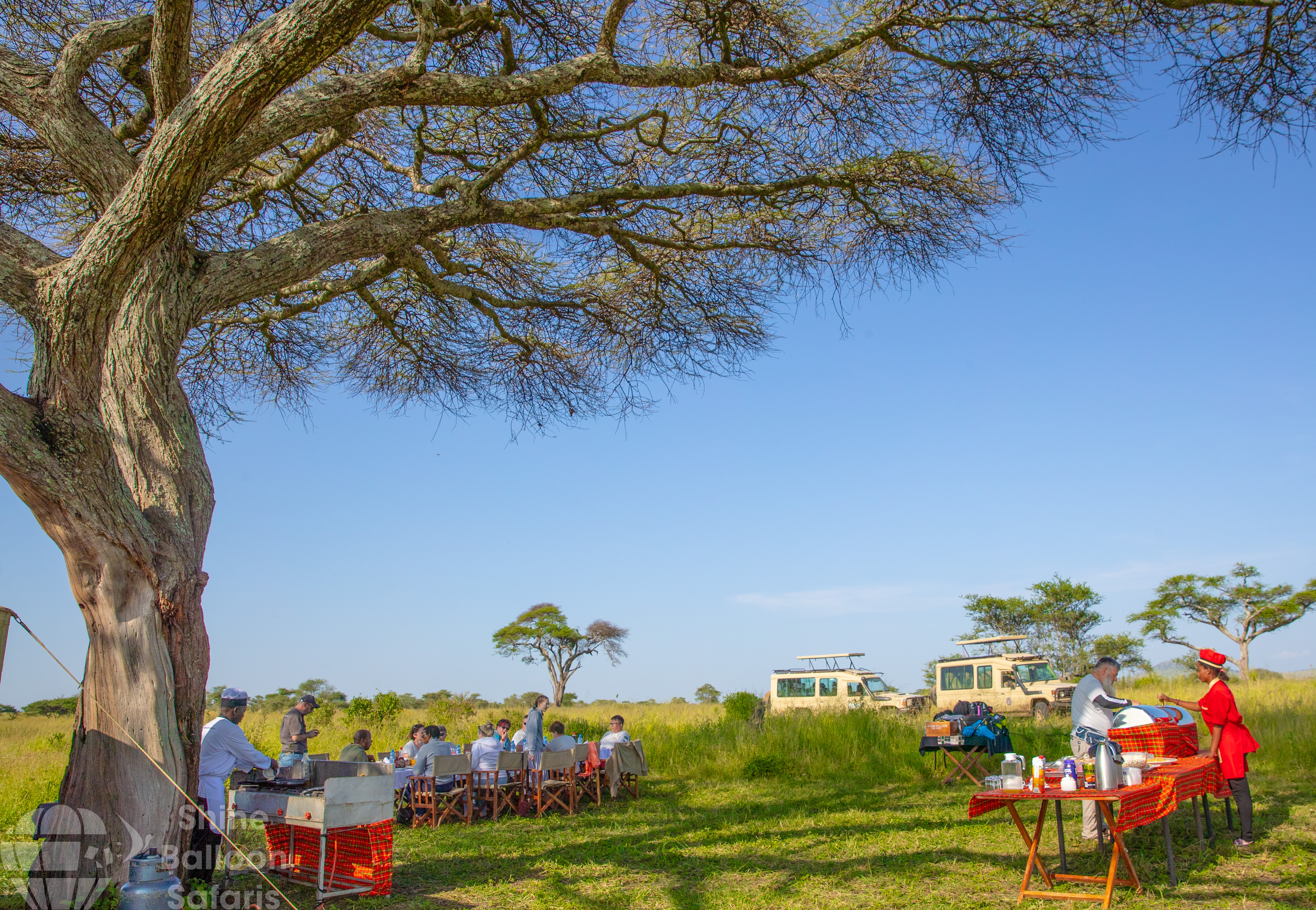 Safari Experience